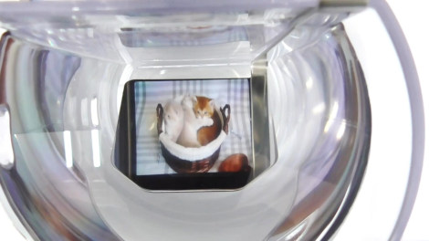 �O���X���Ƀl�R������f���܂��B